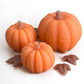 Pumpkin Wax Melts