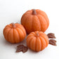 Pumpkin Wax Melts